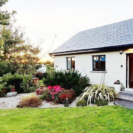 Butterfly Guesthouse - Entire Home Within 5Km Of Galway City Buitenkant foto