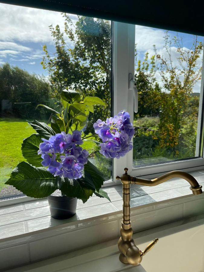 Butterfly Guesthouse - Entire Home Within 5Km Of Galway City Buitenkant foto