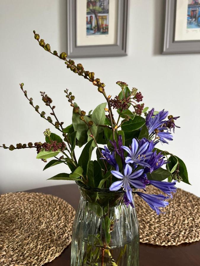 Butterfly Guesthouse - Entire Home Within 5Km Of Galway City Buitenkant foto