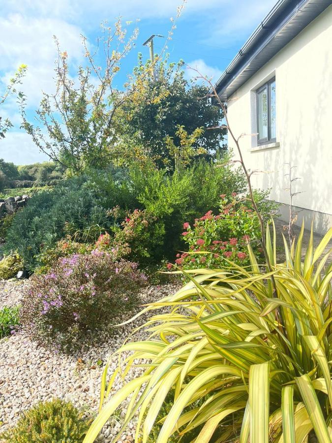 Butterfly Guesthouse - Entire Home Within 5Km Of Galway City Buitenkant foto
