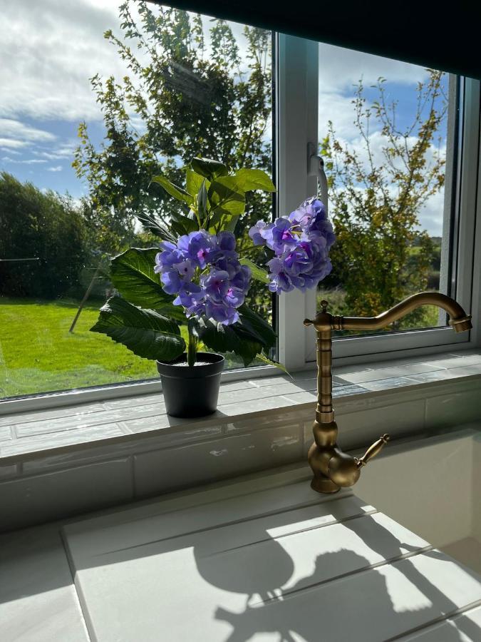 Butterfly Guesthouse - Entire Home Within 5Km Of Galway City Buitenkant foto