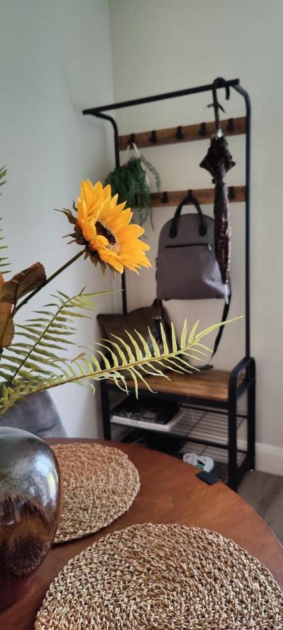 Butterfly Guesthouse - Entire Home Within 5Km Of Galway City Buitenkant foto
