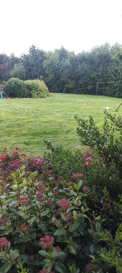 Butterfly Guesthouse - Entire Home Within 5Km Of Galway City Buitenkant foto