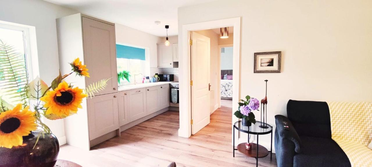 Butterfly Guesthouse - Entire Home Within 5Km Of Galway City Buitenkant foto